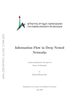 Information Flow in Deep Neural Networks