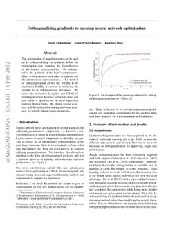 Orthogonalising gradients to speed up neural network optimisation