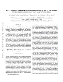 Level set based particle filter driven by optical flow: an application
  to track the salt boundary from X-ray CT time-series