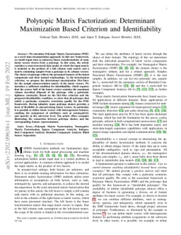Polytopic Matrix Factorization: Determinant Maximization Based Criterion
  and Identifiability