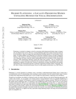 Hilbert Flattening: a Locality-Preserving Matrix Unfolding Method for
  Visual Discrimination