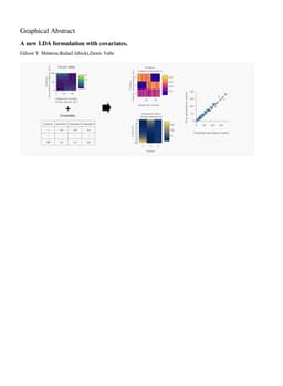 A new LDA formulation with covariates