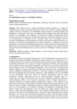 From Biological Synapses to Intelligent Robots