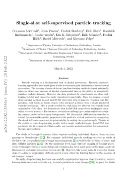 Single-shot self-supervised particle tracking