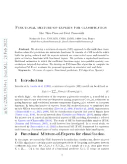 Functional mixture-of-experts for classification
