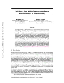 Self-Supervised Vision Transformers Learn Visual Concepts in
  Histopathology