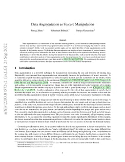Data Augmentation as Feature Manipulation