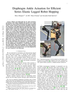 Diaphragm Ankle Actuation for Efficient Series Elastic Legged Robot
  Hopping
