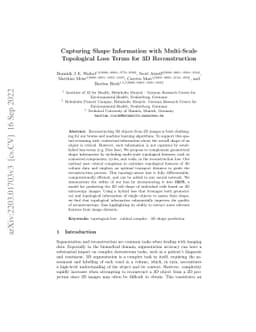 Capturing Shape Information with Multi-Scale Topological Loss Terms for
  3D Reconstruction