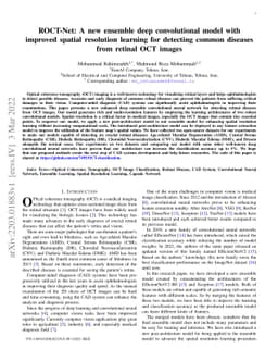 ROCT-Net: A new ensemble deep convolutional model with improved spatial
  resolution learning for detecting common diseases from retinal OCT images