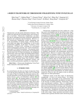 A Robust Framework of Chromosome Straightening with ViT-Patch GAN