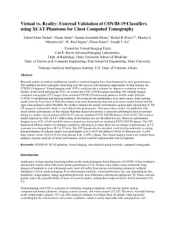 Virtual vs. Reality: External Validation of COVID-19 Classifiers using
  XCAT Phantoms for Chest Computed Tomography