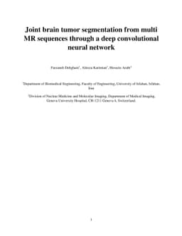 Joint brain tumor segmentation from multi MR sequences through a deep
  convolutional neural network