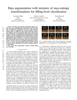 Data augmentation with mixtures of max-entropy transformations for
  filling-level classification