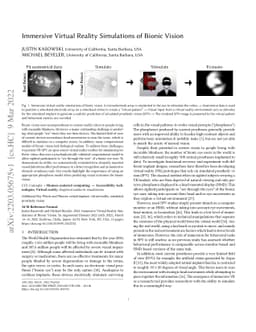 Immersive Virtual Reality Simulations of Bionic Vision