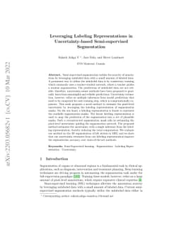 Leveraging Labeling Representations in Uncertainty-based Semi-supervised
  Segmentation