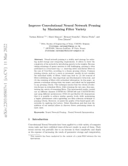 Improve Convolutional Neural Network Pruning by Maximizing Filter
  Variety
