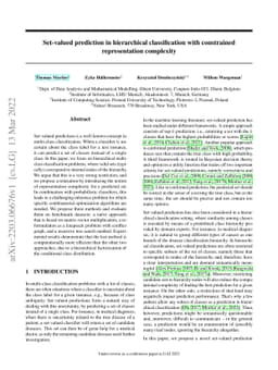 Set-valued prediction in hierarchical classification with constrained
  representation complexity