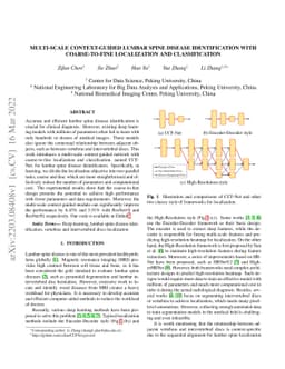 Multi-Scale Context-Guided Lumbar Spine Disease Identification with
  Coarse-to-fine Localization and Classification