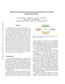 What Do Adversarially trained Neural Networks Focus: A Fourier
  Domain-based Study