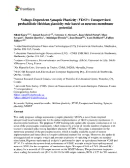 Voltage-Dependent Synaptic Plasticity (VDSP): Unsupervised probabilistic
  Hebbian plasticity rule based on neurons membrane potential
