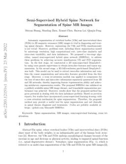 Semi-Supervised Hybrid Spine Network for Segmentation of Spine MR Images
