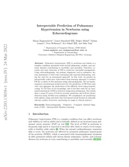 Interpretable Prediction of Pulmonary Hypertension in Newborns using
  Echocardiograms