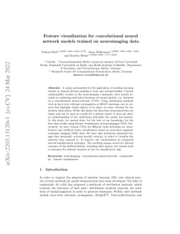 Feature visualization for convolutional neural network models trained on
  neuroimaging data