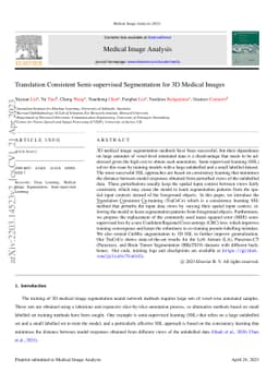 Translation Consistent Semi-supervised Segmentation for 3D Medical
  Images