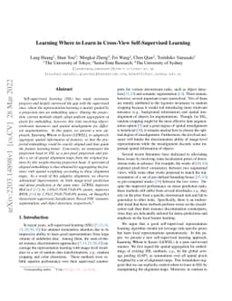 Learning Where to Learn in Cross-View Self-Supervised Learning