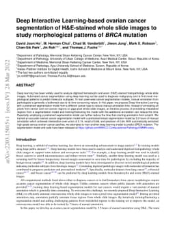 Deep Interactive Learning-based ovarian cancer segmentation of
  H&E-stained whole slide images to study morphological patterns of BRCA
  mutation