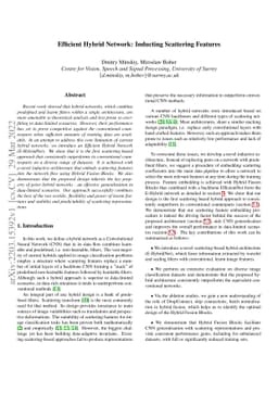 Efficient Hybrid Network: Inducting Scattering Features