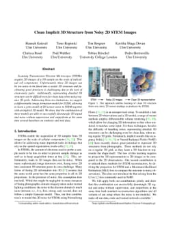 Clean Implicit 3D Structure from Noisy 2D STEM Images