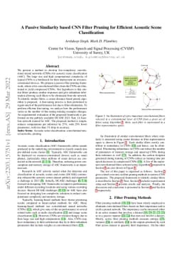 A Passive Similarity based CNN Filter Pruning for Efficient Acoustic
  Scene Classification