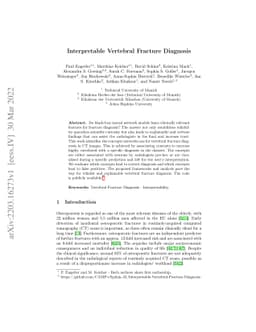 Interpretable Vertebral Fracture Diagnosis