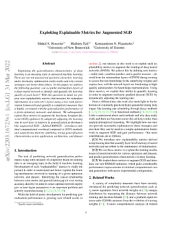 Exploiting Explainable Metrics for Augmented SGD