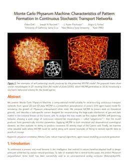 Monte Carlo Physarum Machine: Characteristics of Pattern Formation in
  Continuous Stochastic Transport Networks