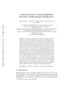 CAIPI in Practice: Towards Explainable Interactive Medical Image
  Classification