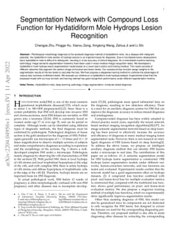 Segmentation Network with Compound Loss Function for Hydatidiform Mole
  Hydrops Lesion Recognition