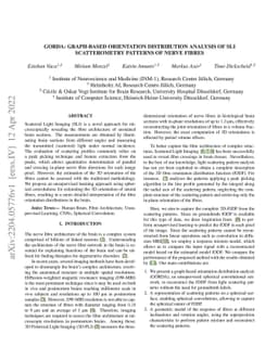 GORDA: Graph-based ORientation Distribution Analysis of SLI
  scatterometry Patterns of Nerve Fibres