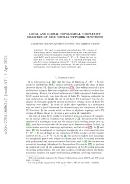 Local and global topological complexity measures OF ReLU neural network
  functions