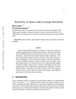 Sensitivity of sparse codes to image distortions
