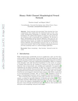 Binary Multi Channel Morphological Neural Network
