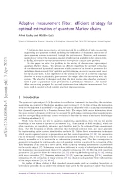 Adaptive measurement filter: efficient strategy for optimal estimation
  of quantum Markov chains