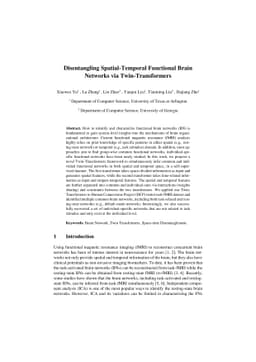 Disentangling Spatial-Temporal Functional Brain Networks via
  Twin-Transformers
