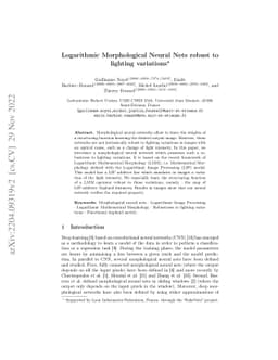 Logarithmic Morphological Neural Nets robust to lighting variations