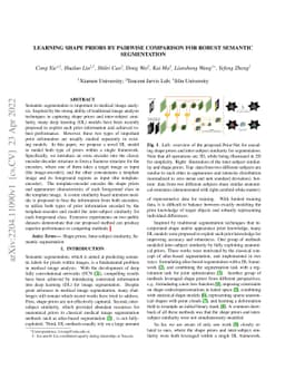 Learning Shape Priors by Pairwise Comparison for Robust Semantic
  Segmentation