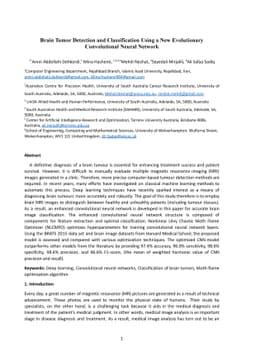Brain Tumor Detection and Classification Using a New Evolutionary
  Convolutional Neural Network