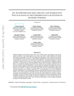 An Algorithm for the Labeling and Interactive Visualization of the
  Cerebrovascular System of Ischemic Strokes