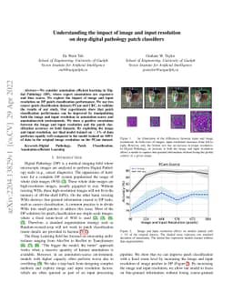 Understanding the impact of image and input resolution on deep digital
  pathology patch classifiers